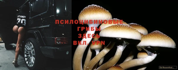 спиды Балахна