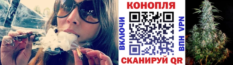 Конопля сатива  Петровск 
